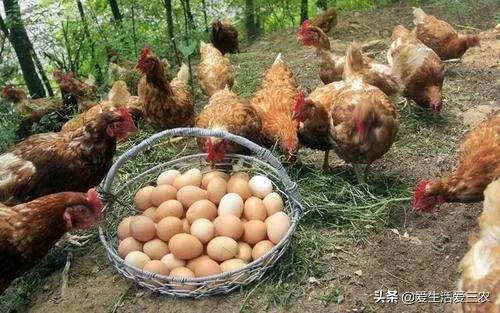 有哪些可以快速赚钱的小项目,老人项目里哪一个项目最赚钱