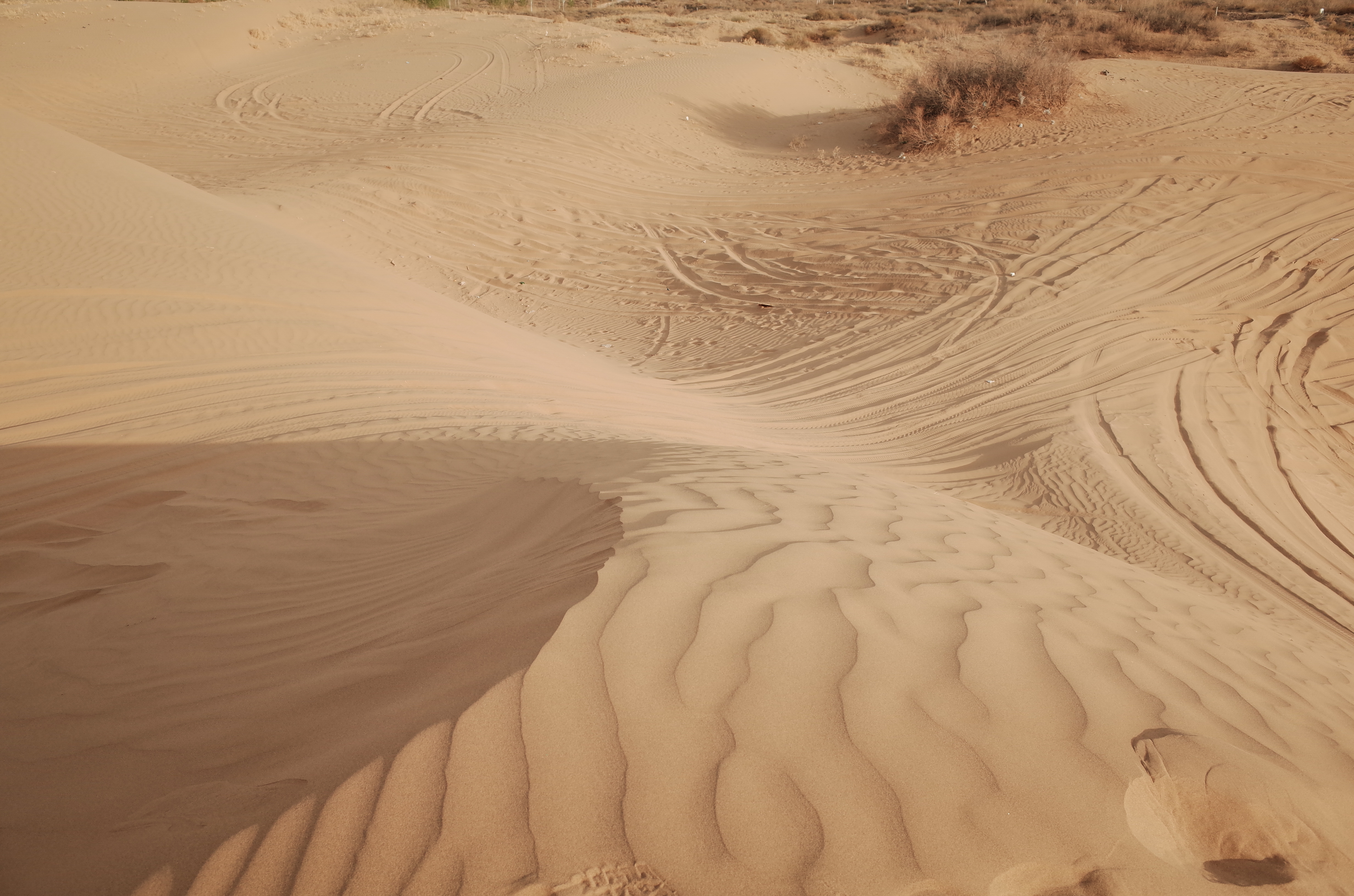 银川周边自驾沙漠,榆林市毛乌素沙漠自驾游