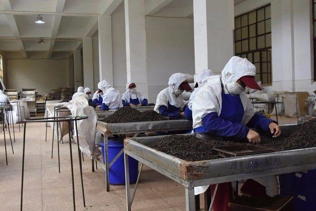 普洱茶熟茶压制方法是什么,普洱生茶紧压茶的正确打开方式