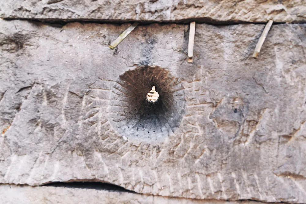 重庆市垫江县鹤游坪,垫江鹤游坪古镇