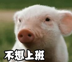 欧阳娜娜戚薇综艺发型,欧阳娜娜清纯可爱