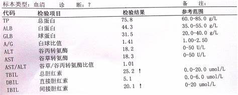 肝胆湿热引起胆红素升高吃什么药,长期吃药引起总胆红素偏高怎么办