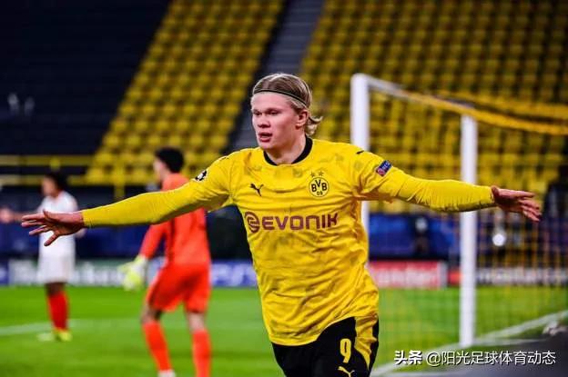 托马斯图赫尔和哈兰德,图赫尔买富勒姆