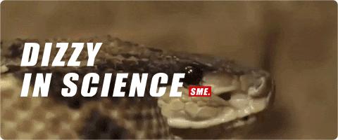 毒蛇咬伤截肢,毒蛇咬食指怎么处理