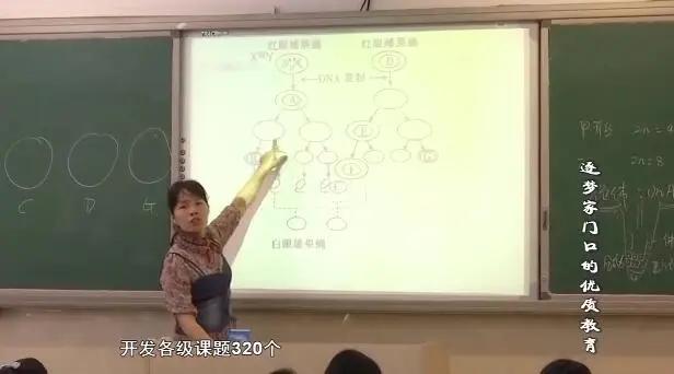 石狮筑梦篮球训练营在哪,石狮教育实践基地