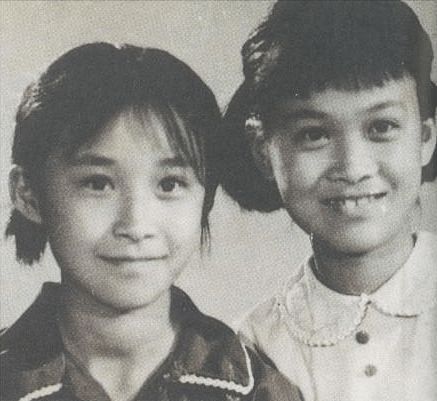 那英有多耿直,耿直那英