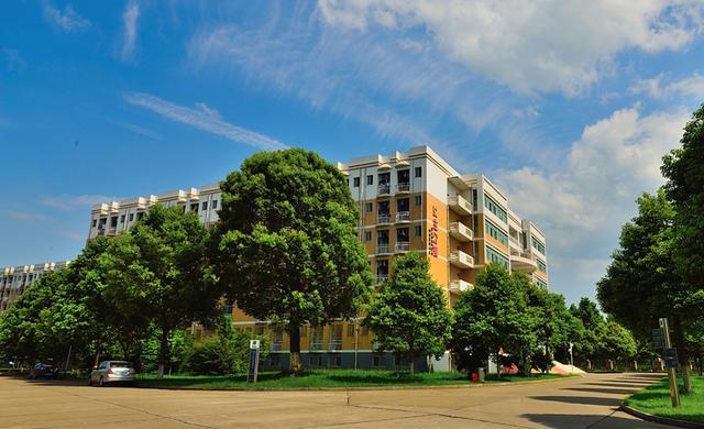 2019年常德鼎城一中高考喜报,湖南常德安乡五中高考榜