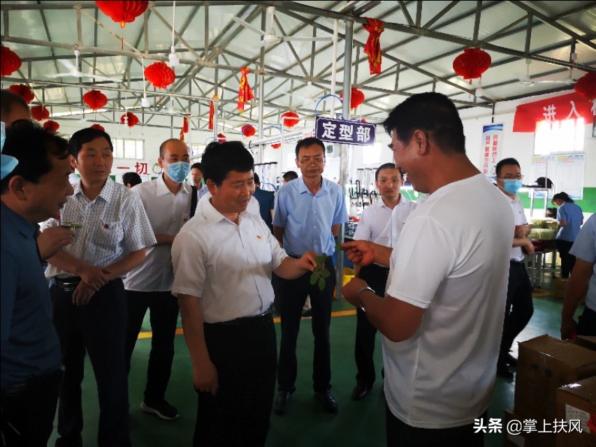 扶风粮站主题党日,市人社局主题党日活动党味浓