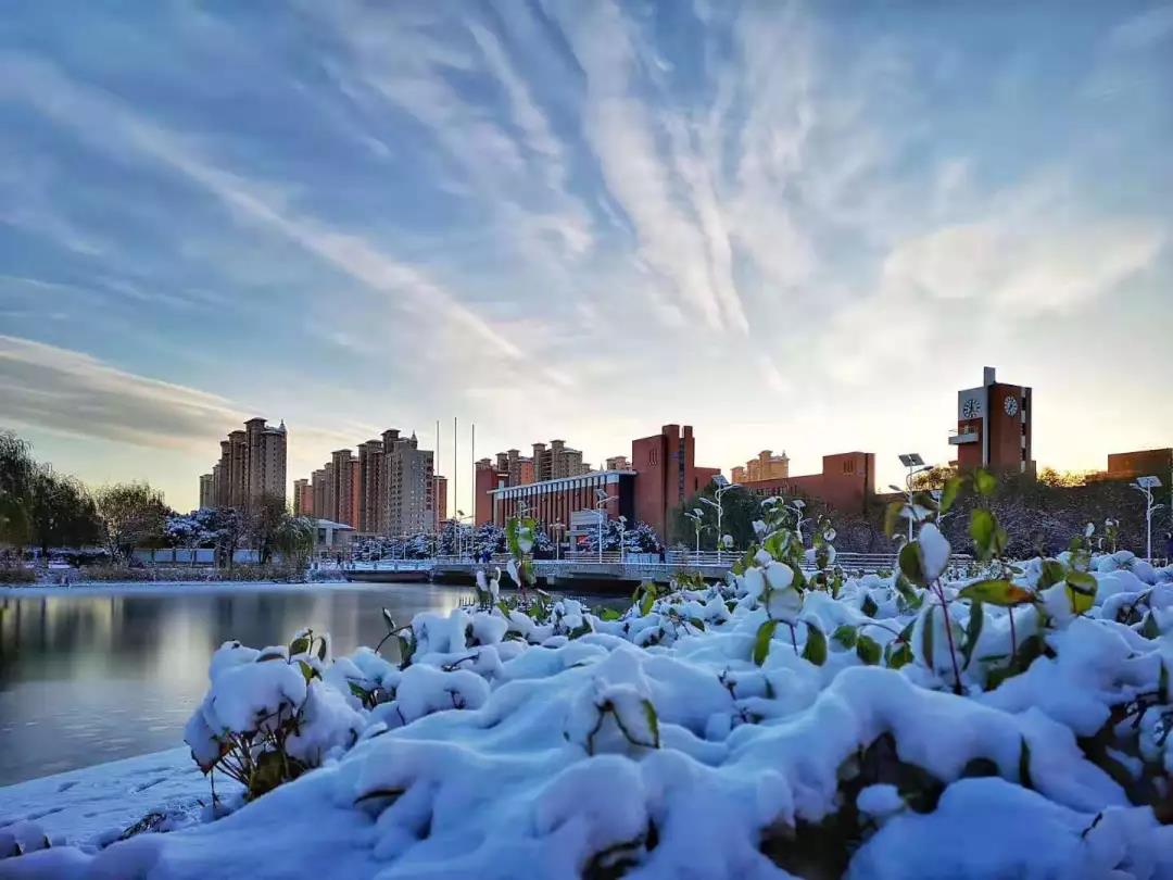 坐拥4项中国首创！东北这所高校，央视、人民日报频频聚焦，屡获国际关注！