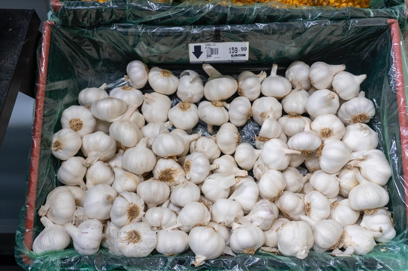 南非自驾游,南非自驾游最新