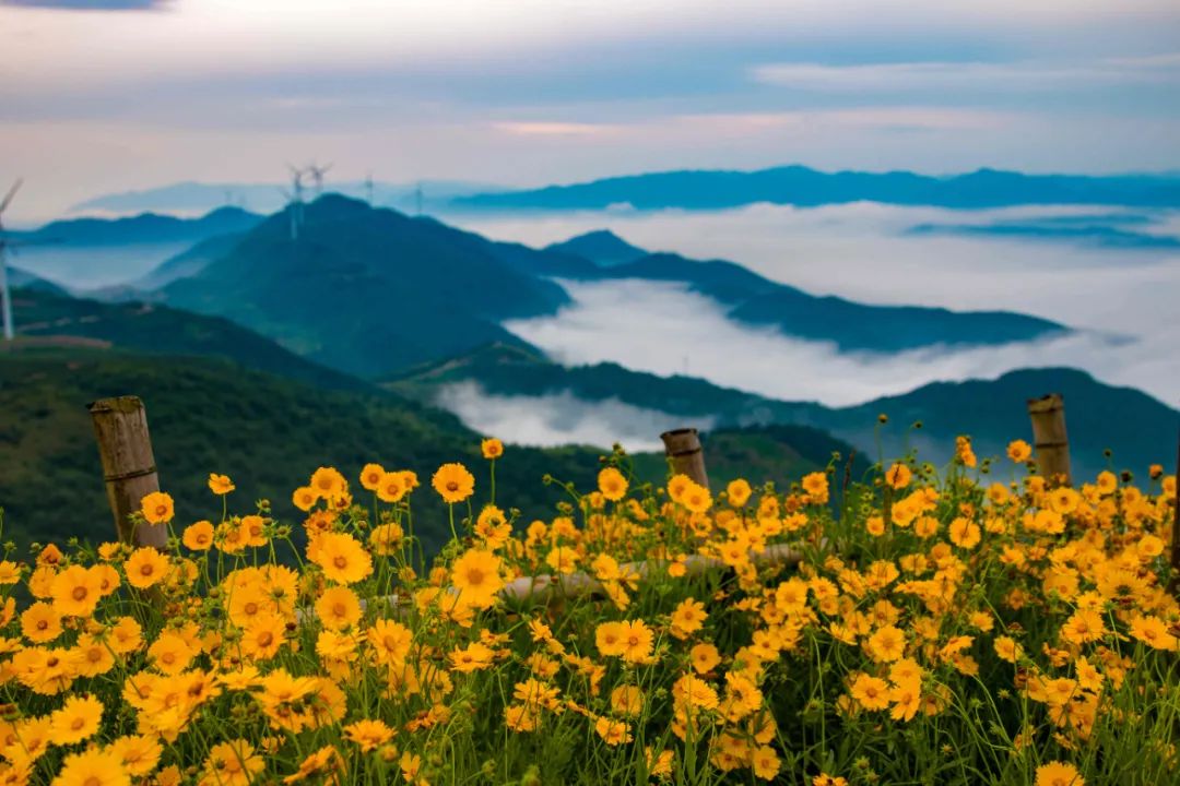 风电和光伏发出的都是直流电吗,风电与太阳能每发一度电的成本