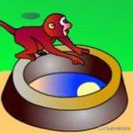 八年级上册物理光现象实验题,八年级上册物理光现象乐乐课堂