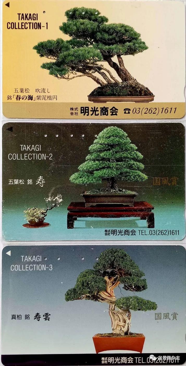 鐩嗘櫙鑱旂郴鐢佃瘽鍙风爜,涓鐩嗘櫙鑱旂郴鏂瑰紡