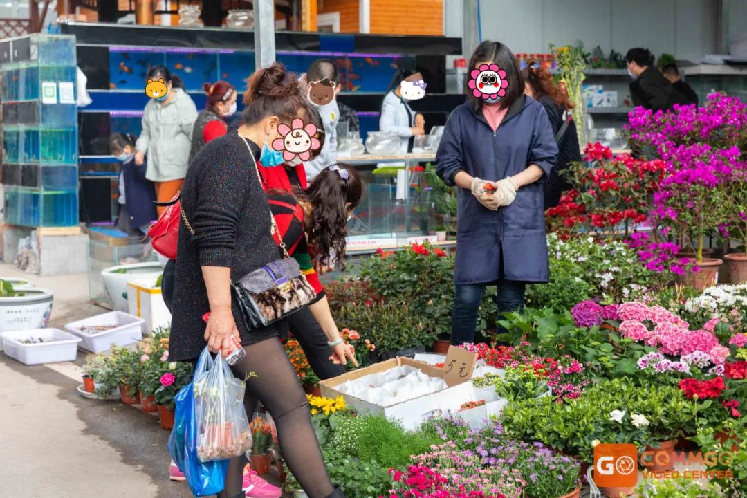 重庆最大的花市在哪里,重庆花市排名前十名