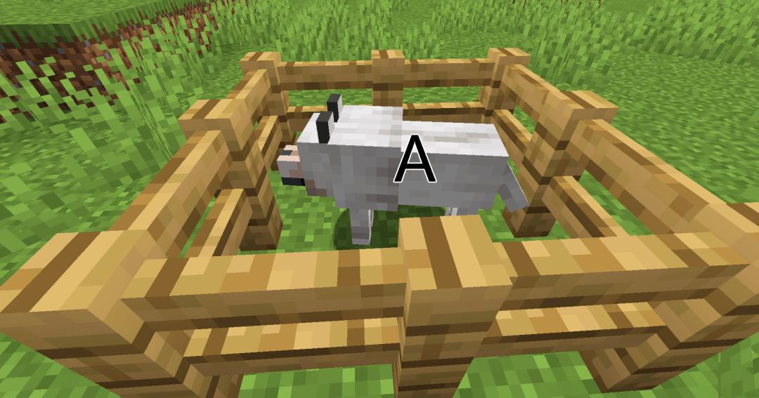 我的世界冷知识考题,我的世界老玩家测试题有答案