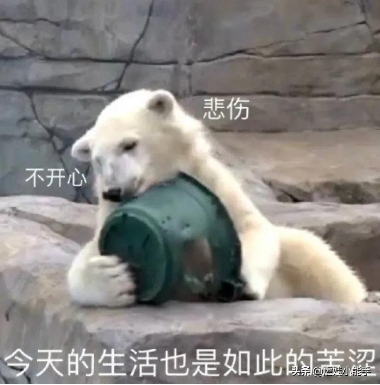 日本福冈疫情最新消息,日本疫情的故事