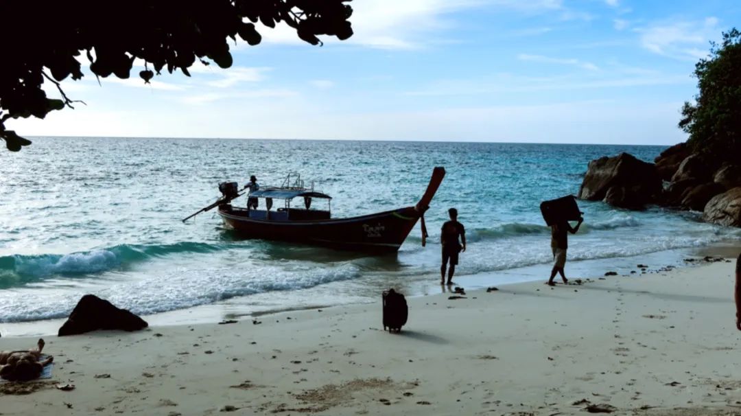 恋恋丽贝岛，人狗情未了|KohLipe