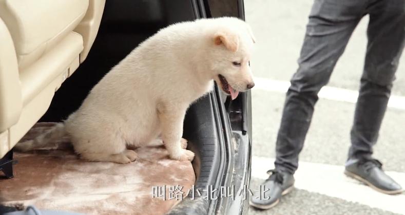 鹿晗踢足球被小朋友撕名牌,鹿晗和吴磊打戏扔手榴弹