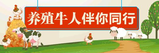 免费提供金蝉养殖技术,金蝉养殖实用技术电子书