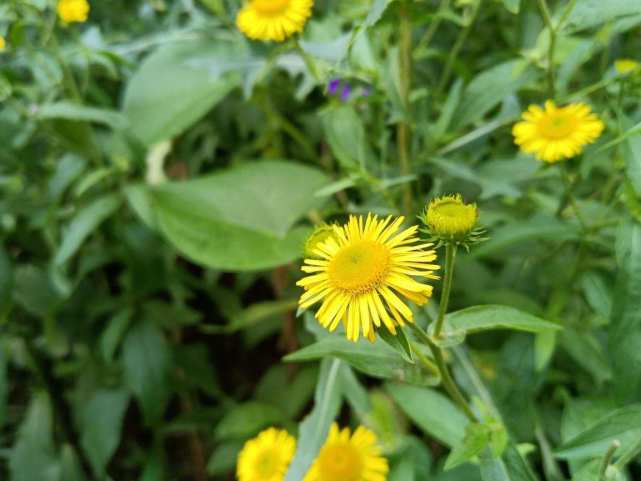 荣耀x20测评是什么处理器,荣耀x20值不值得入手