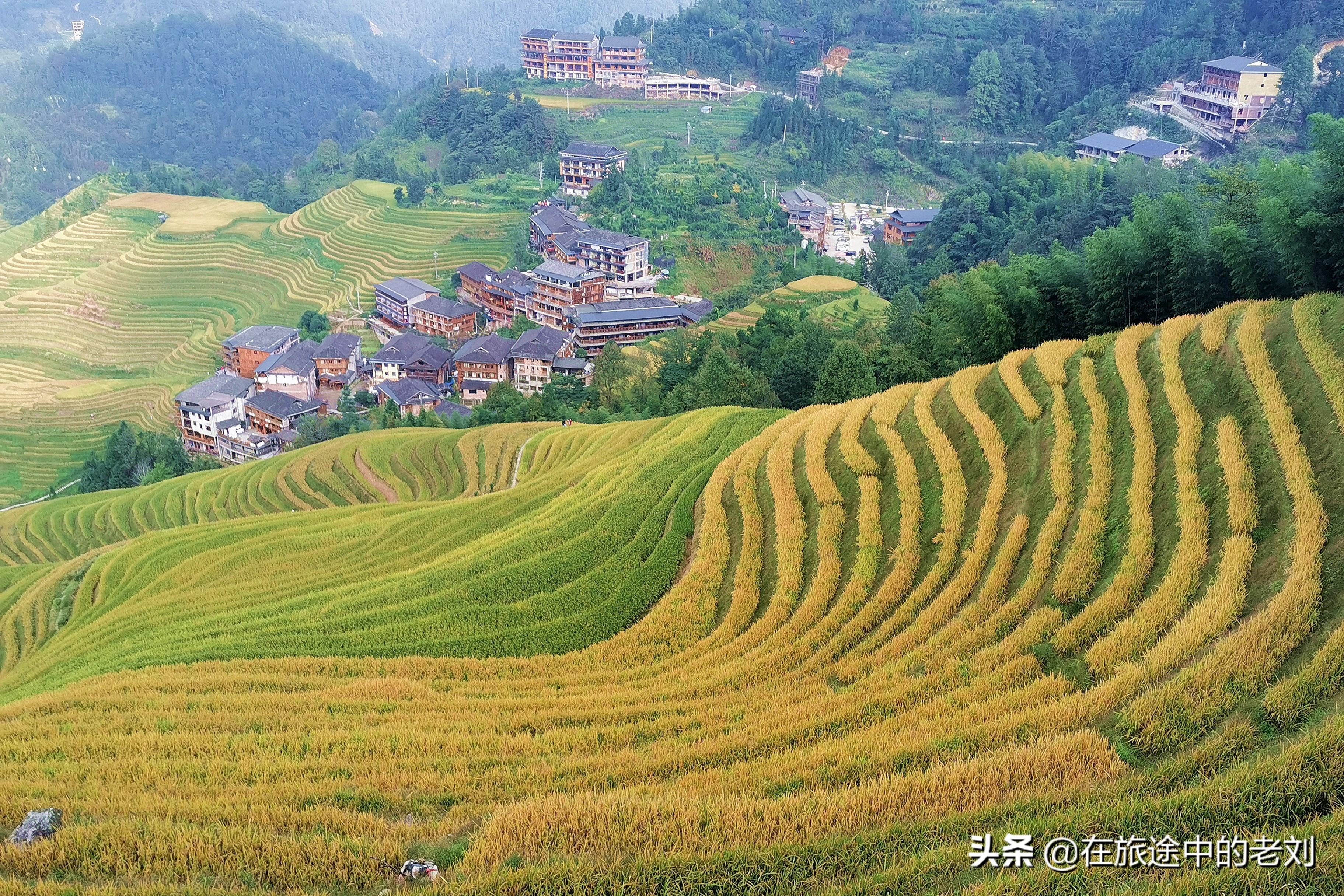远赴龙脊大寨梯田，追逐今年最后的金黄——桂林七天游1