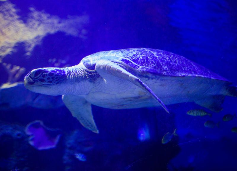 海悦天地海洋公园,庄里溜娃好去处