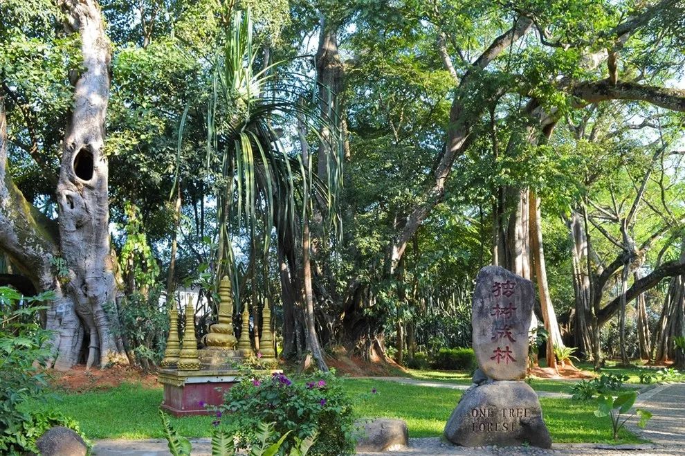 王晓红:瑞丽——难忘的翡翠之旅