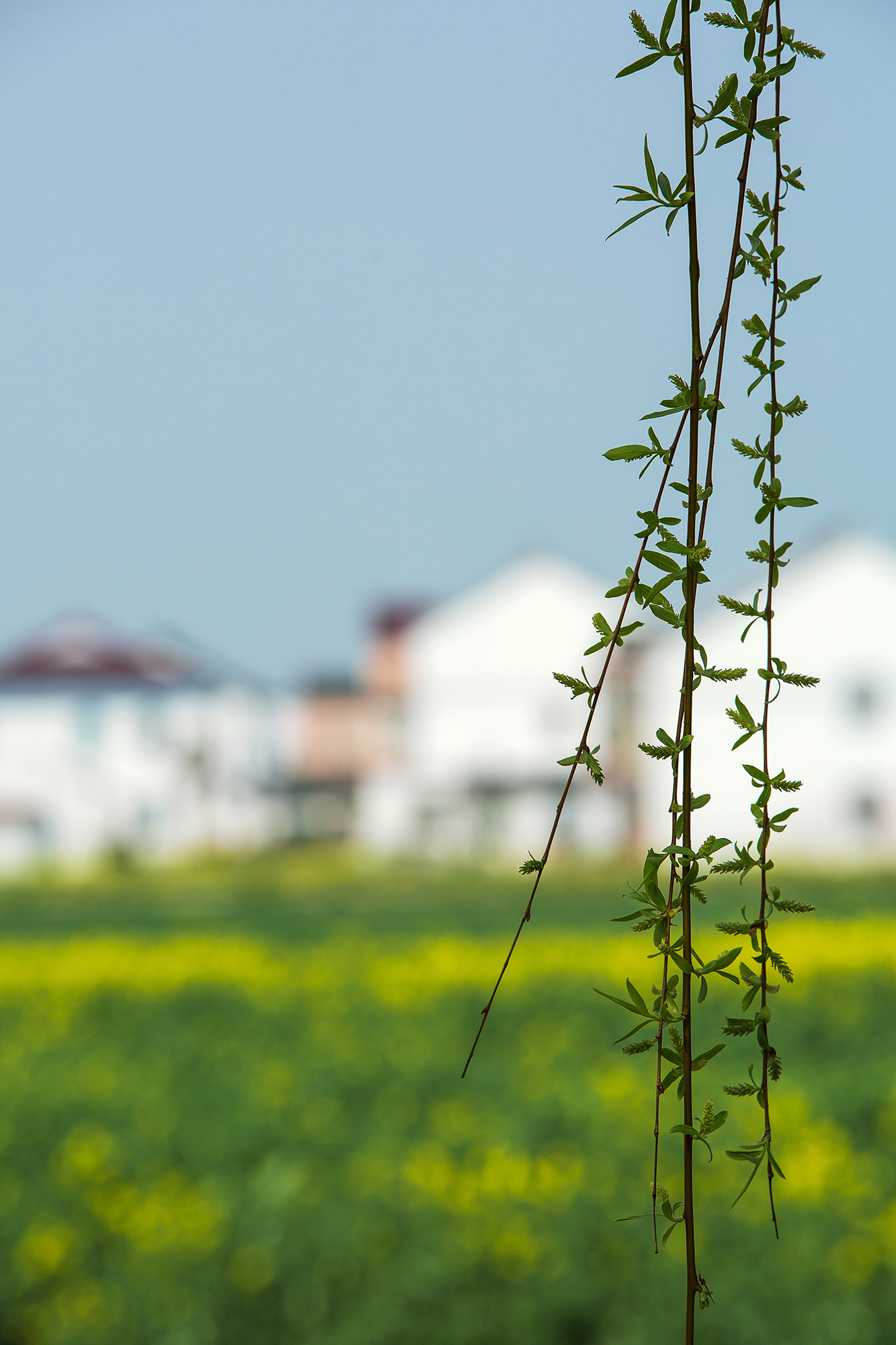 刚好我也喜欢你暮回全文阅读,刚好我也喜欢你小说完整版