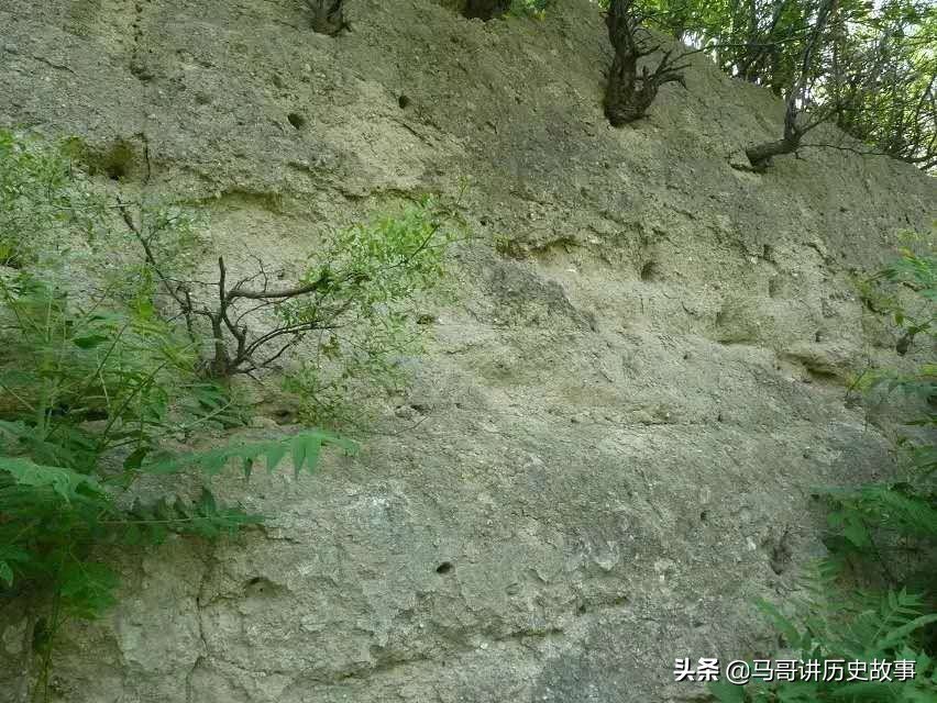 娣囧幙瀵掓硥鏅偣,娣囧幙鏈濇瓕瀵掓硥鍦板潃