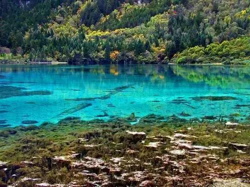 国家认证！*疆新**又一城市成为“中国天然氧吧”，大自然“空调房”就在……