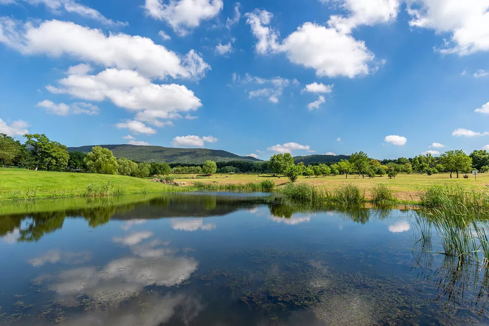 南京亚洲第一大体育场,江苏省第一座体育场