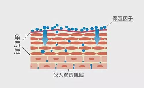 零毛孔让你的皮肤光滑细腻,教你一招搞定毛孔