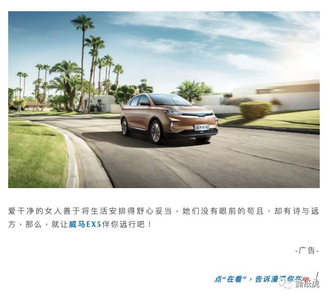 4家自媒体公司数据全曝光，原来假博主都出自这里