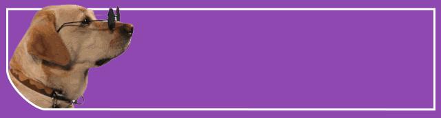 毛孩子低温症,毛孩子怕冷是什么原因