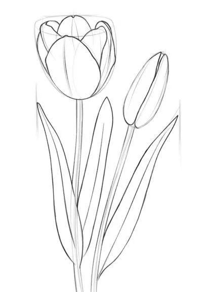 白描各种花朵,花朵白描图片大全大图