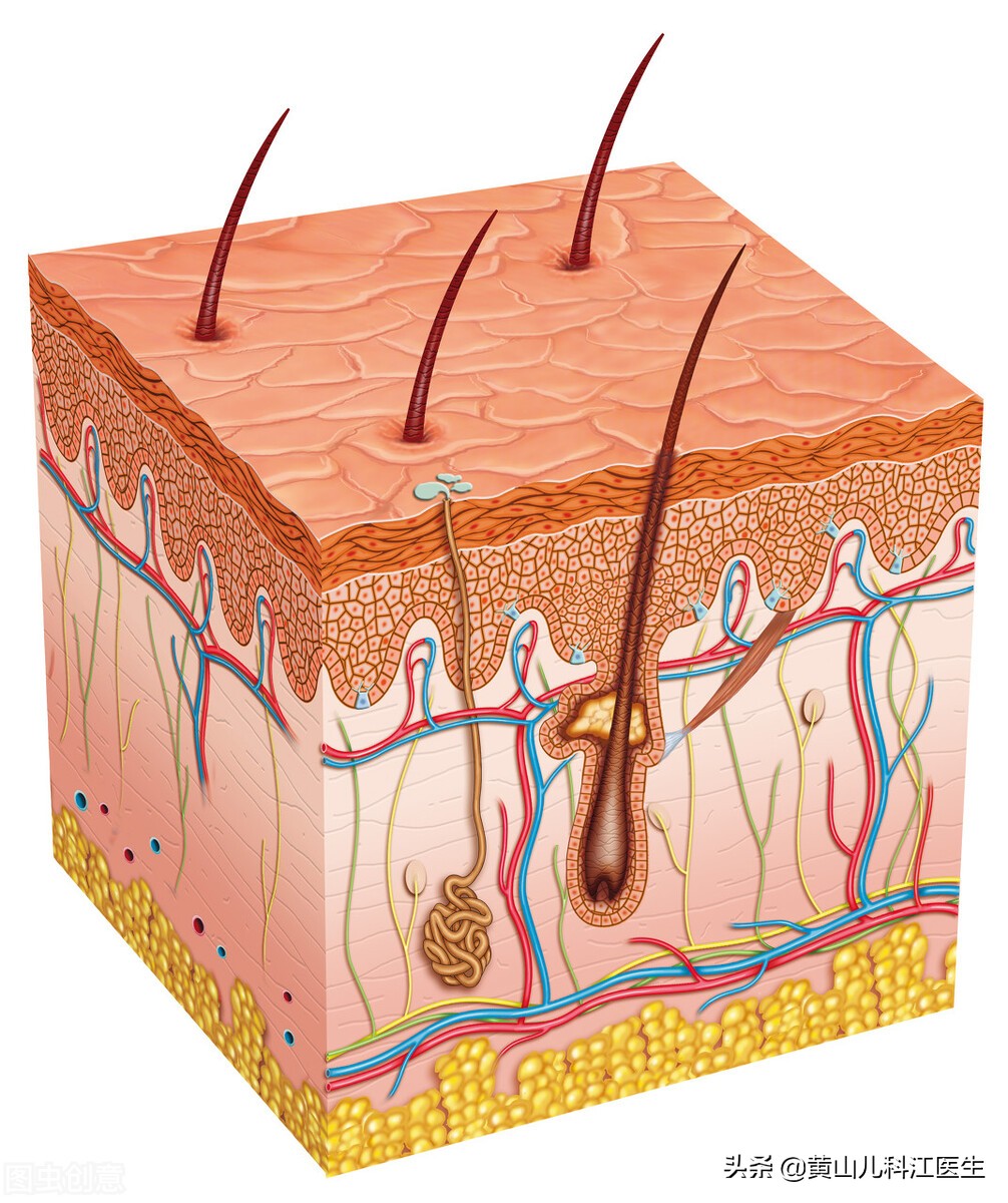 婴儿屁屁红烂怎么护理,婴儿屁屁红怎么护理最好