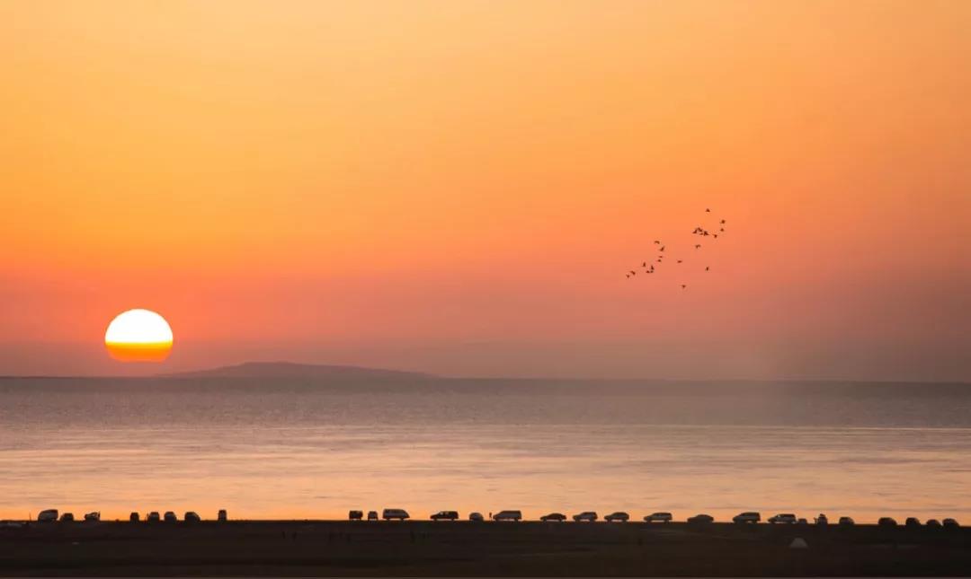 指甲里也藏着健康问题,指甲暴露了你的身体状态