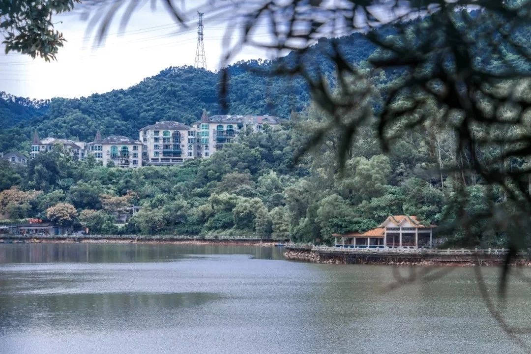 深圳游玩好去处攻略,深圳7个自驾游免费好去处推荐