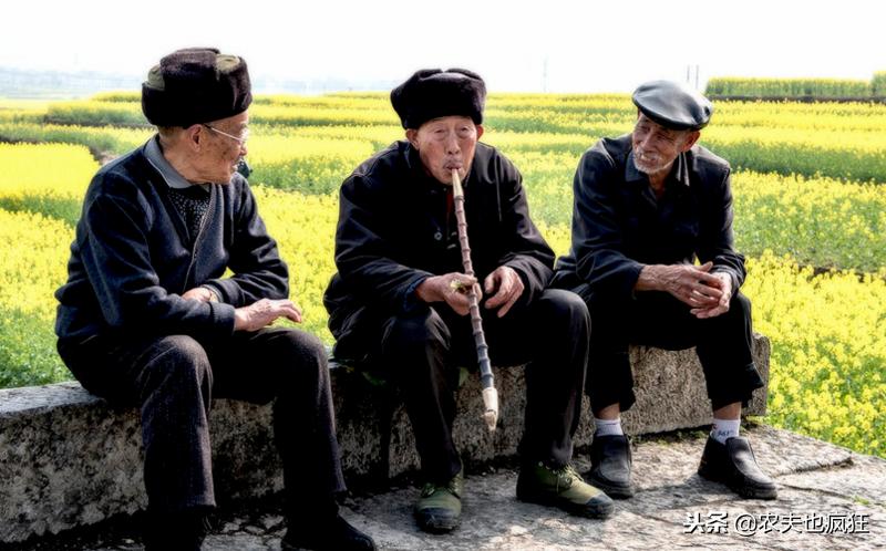 猪年好年景,2019猪年年景