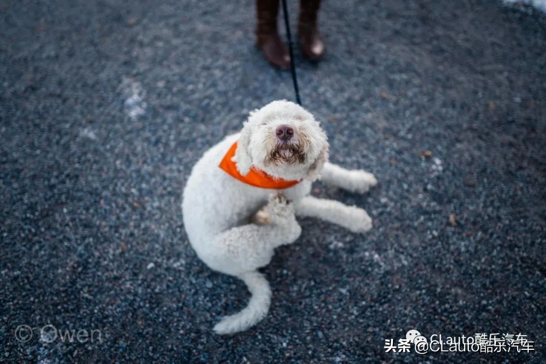 瑞典生产的沃尔沃s60,沃尔沃s60北欧出行