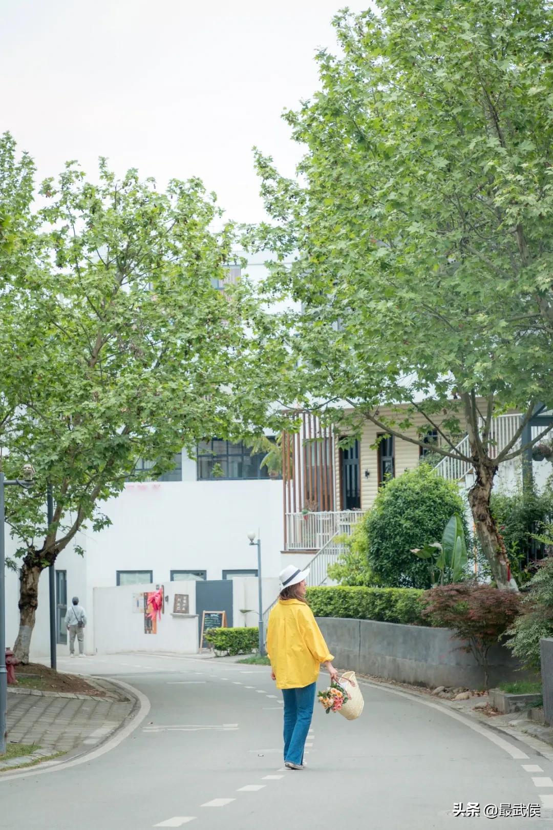 成都便宜的大花市,成都街边卖花一元一束