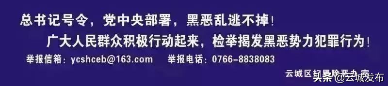 云城区第七届区长杯足球,新城区区长杯足球赛