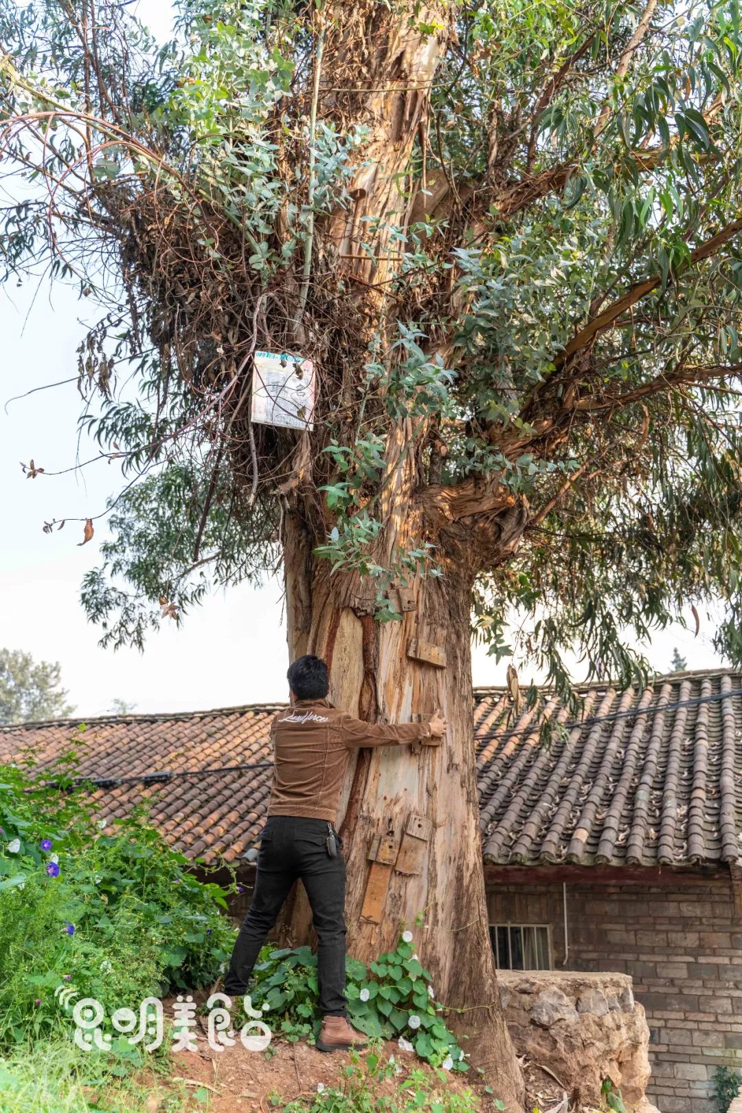 云南发展最快的县级市,云南发展最快的市