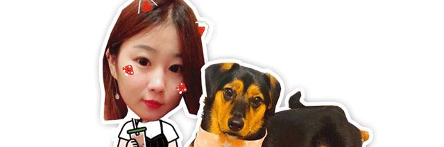 猫咪爱吃鱼谣言,猫咪爱喝雨水怎么回事