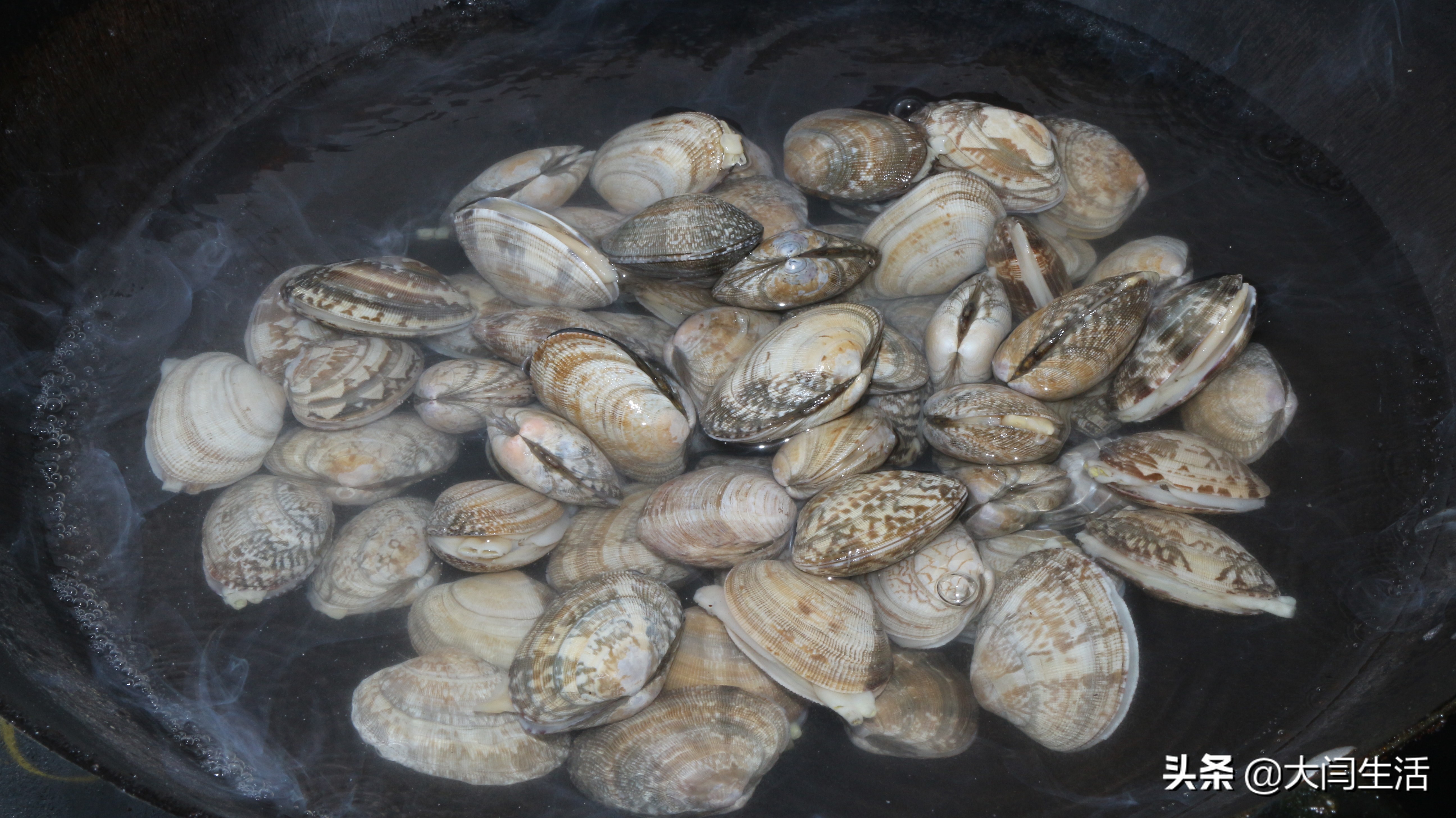 爆炒花蛤怎么吐沙最快,花蛤吐沙吐不干净