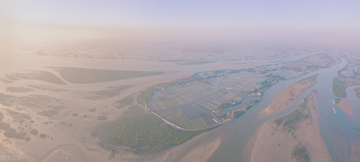 为什么广西玉林被称为荔枝狗肉城,狗肉荔枝玉林