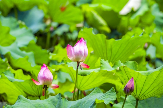 杭州最好的景点打卡排行榜,杭州萧山看飞机网红打卡点