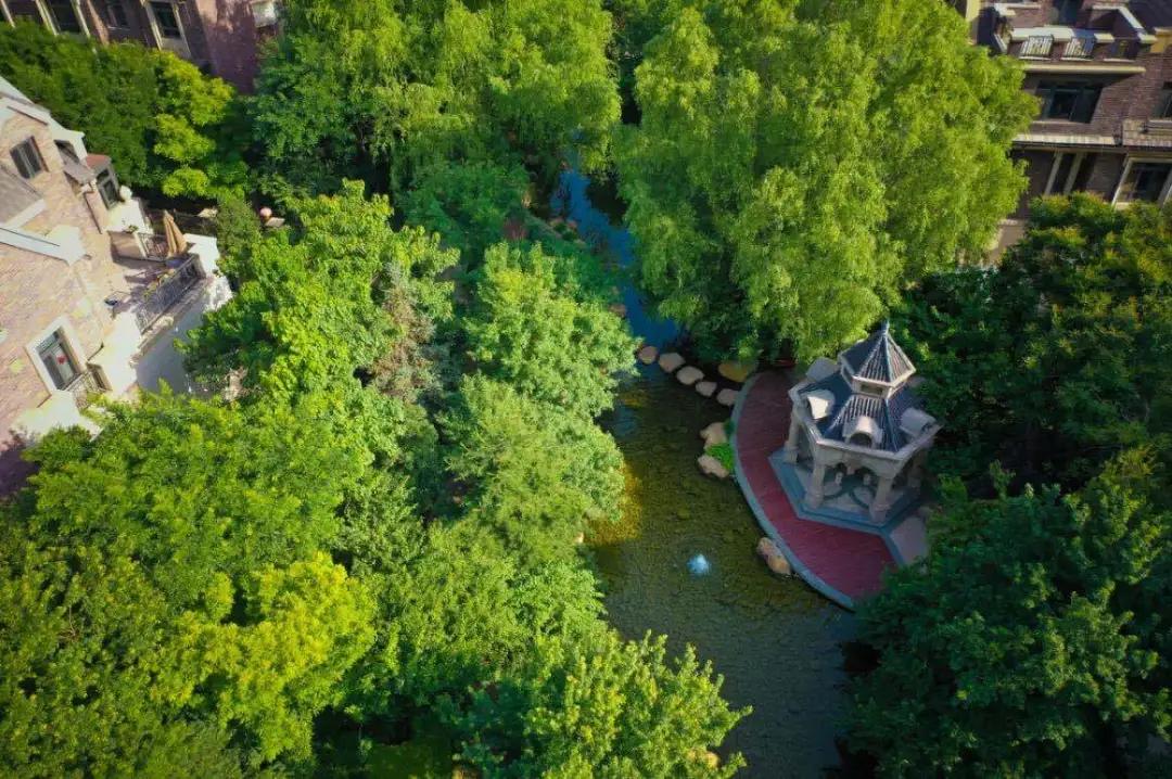 樱桃看房|老朋友,好久不见之「唐城·壹零壹」