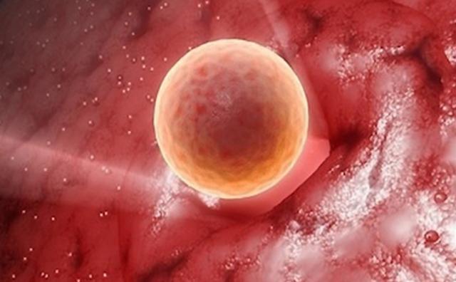 怀孕早期肚子疼跟拉肚子有啥区别,怀孕初期肚子痛和痛经区别