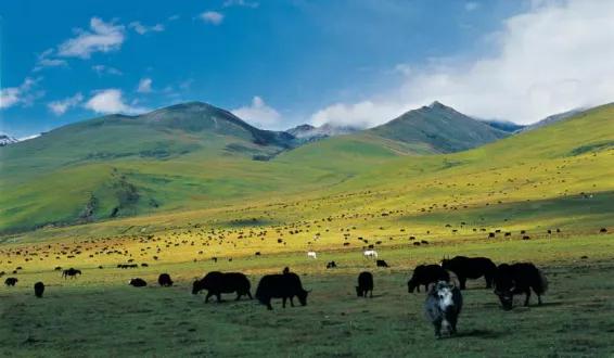 丝路甘孜康藏秘境第三站色达,甘孜色达穿越之行